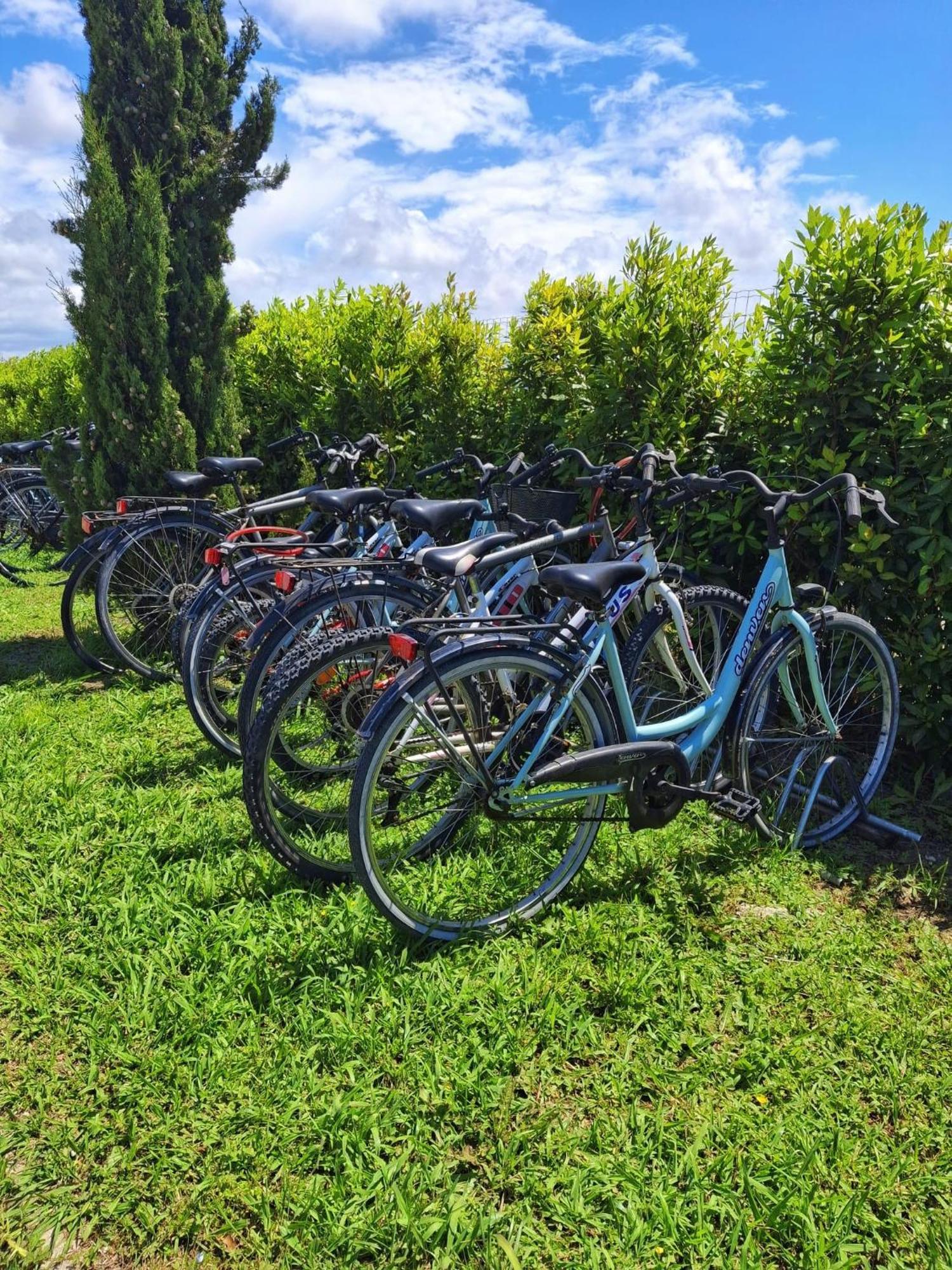 Delfino Tuscany Marina di Cecina